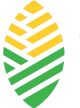 logo-e1708520658667-removebg-preview